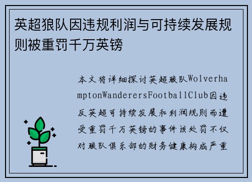 英超狼队因违规利润与可持续发展规则被重罚千万英镑